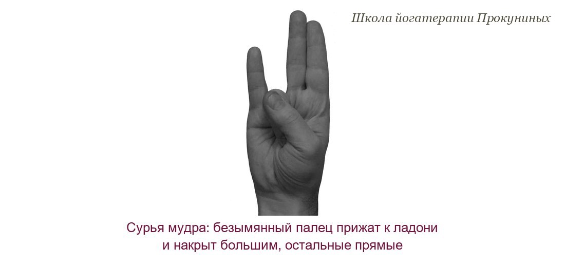 Сурья мудра: безымянный палец прижат к ладони и накрыт большим, указательный, средний и мизинец выпрямлены