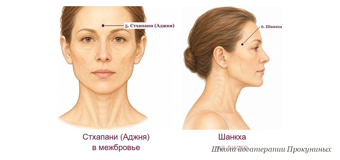 Марма-точки Стхапани в межбровье и Шанкха на виске на рисунках атласа