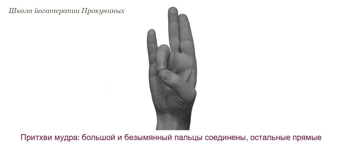 Притхви мудра: кисть руки, кончик большого пальца соединён с безымянным, остальные пальцы прямые