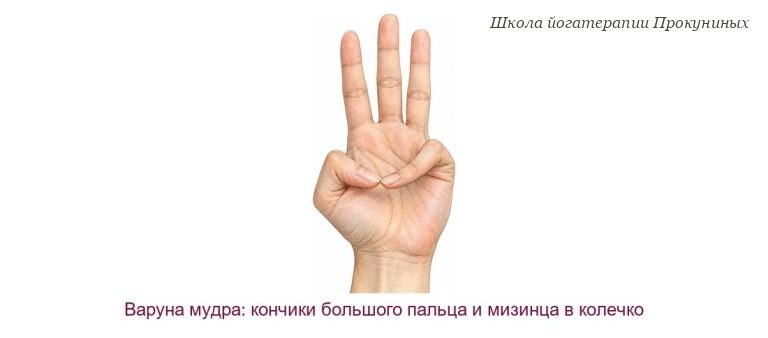 Варуна мудра (мудра воды)
